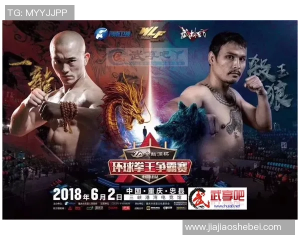 龙杯传承：史上最激烈的武林争霸