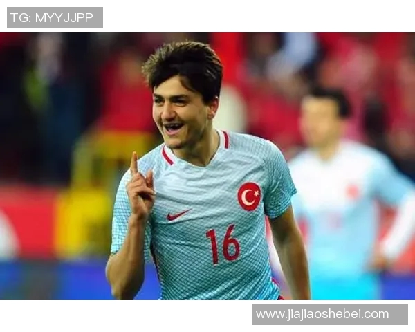 土耳其与突尼斯精彩对决回放分析及赛后点评